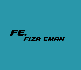 fe (4)